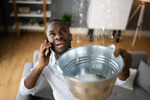 Best Water damage restoration experts  in Morn, GA