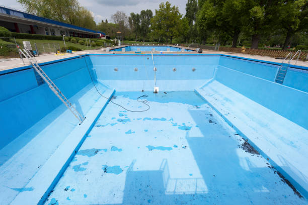 Best Professional water damage repair  in Morn, GA