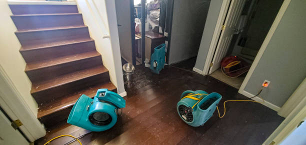 Best Water damage restoration near me  in Morn, GA