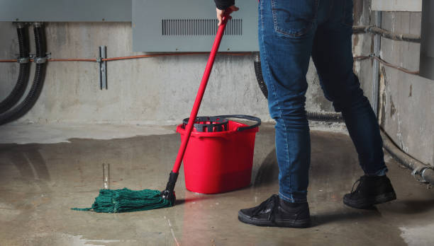 Best Basement water damage restoration  in Morn, GA