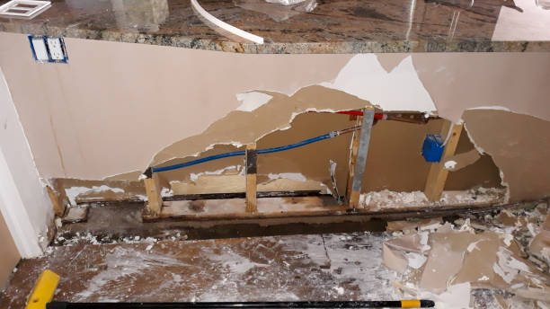 Best Water damage restoration services  in Morn, GA