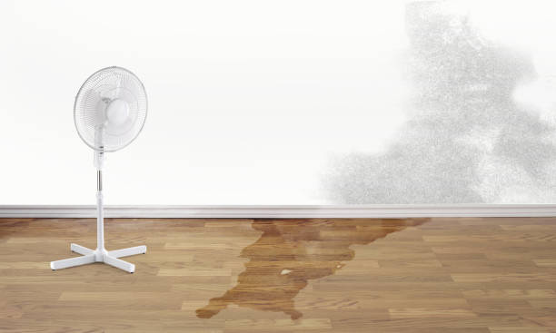 Best Water damage restoration near me  in Morn, GA