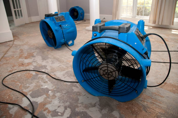 Best Flood restoration services  in Morn, GA