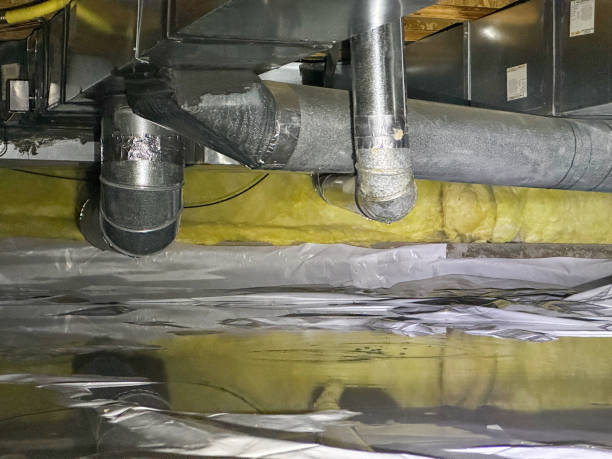 Best Local water damage restoration  in Morn, GA
