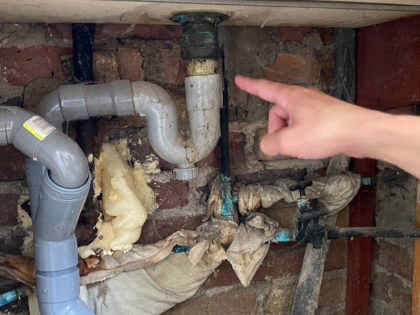 Best Water damage restoration near me  in Morn, GA